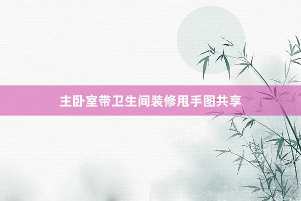 主卧室带卫生间装修甩手图共享