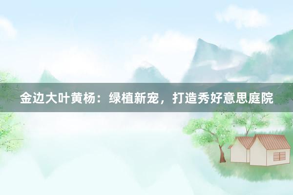 金边大叶黄杨：绿植新宠，打造秀好意思庭院